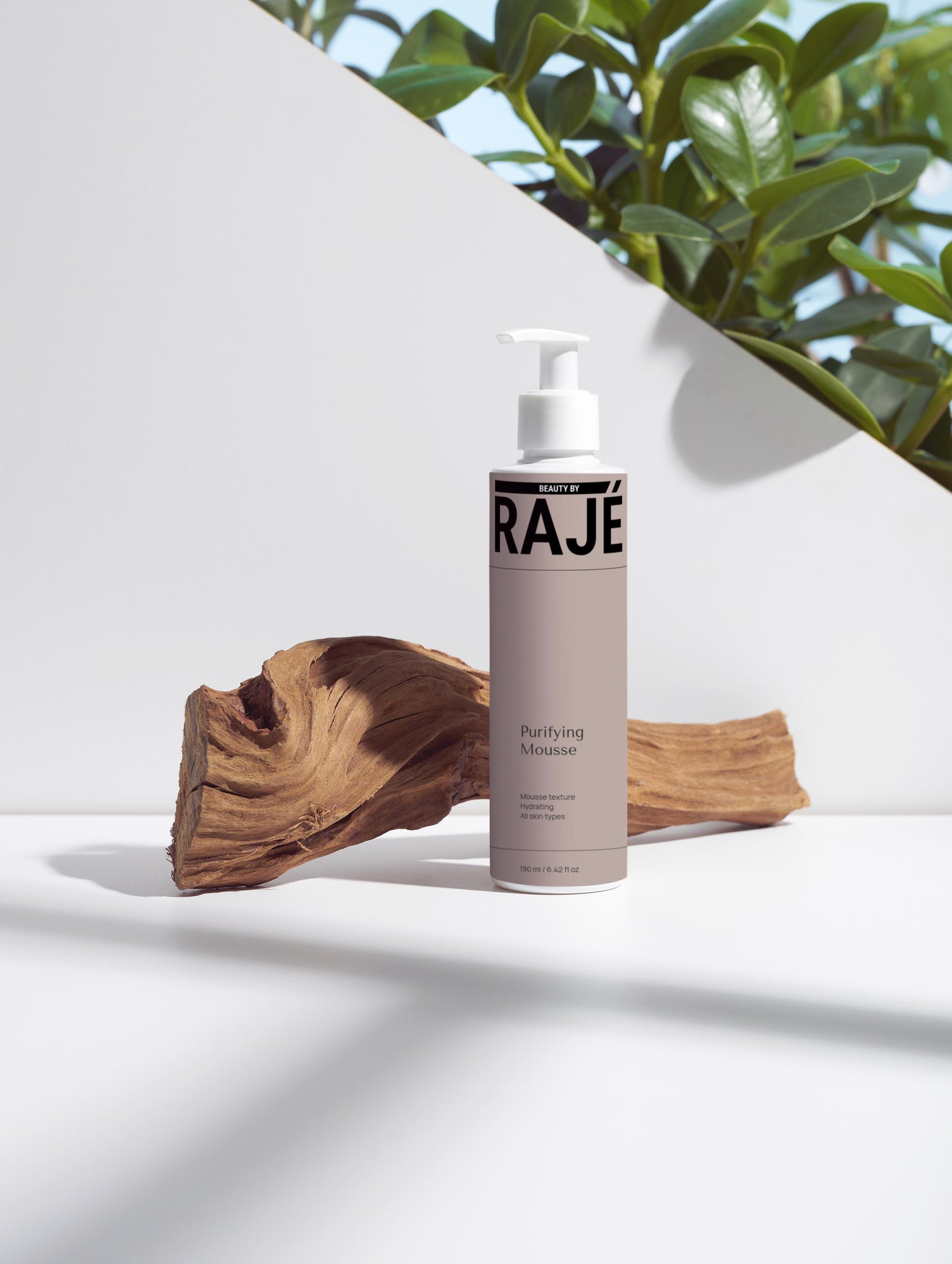Purifying Mousse